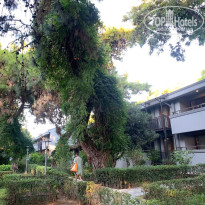 фото из отзыва ID 2643878