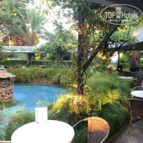 фото из отзыва ID 2643878