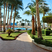 фото из отзыва ID 2644238