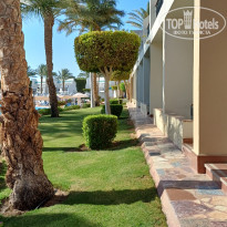 фото из отзыва ID 2644238