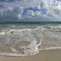 фото из отзыва ID 2644215