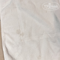 фото из отзыва ID 2644025