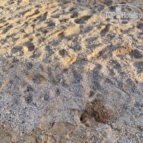 фото из отзыва ID 2644025