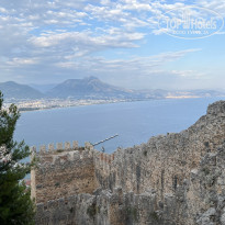 фото из отзыва ID 2644111