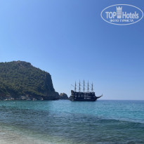 фото из отзыва ID 2644111