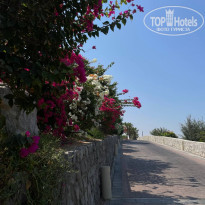 фото из отзыва ID 2643646