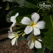 фото из отзыва ID 2643646