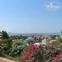 фото из отзыва ID 2643646