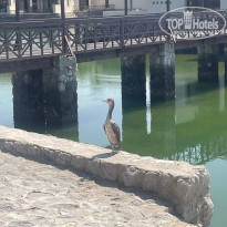 фото из отзыва ID 2643646