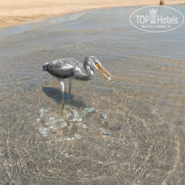 фото из отзыва ID 2644494