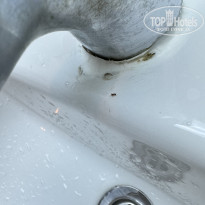 фото из отзыва ID 2644502