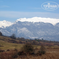 фото из отзыва ID 2643479