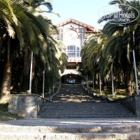 фото из отзыва ID 2643479