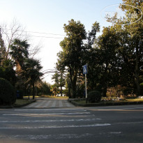 фото из отзыва ID 2643479