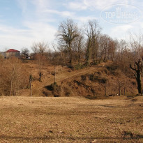 фото из отзыва ID 2643479