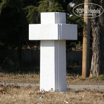 фото из отзыва ID 2643479