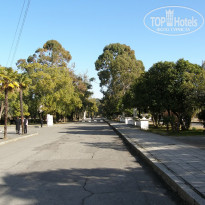 фото из отзыва ID 2643479