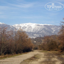 фото из отзыва ID 2643479