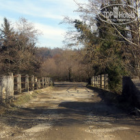 фото из отзыва ID 2643479