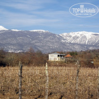 фото из отзыва ID 2643479