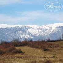 фото из отзыва ID 2643479