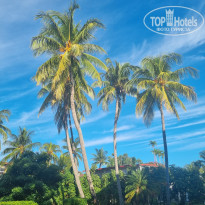 фото из отзыва ID 2644542