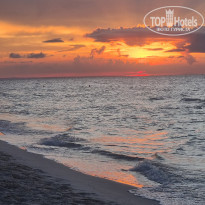 фото из отзыва ID 2644542