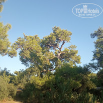 фото из отзыва ID 2644619