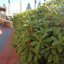 фото из отзыва ID 2644619