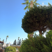 фото из отзыва ID 2644619