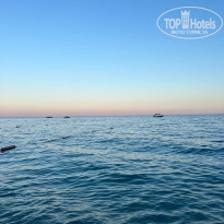 фото из отзыва ID 2644637