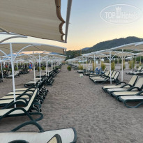 фото из отзыва ID 2644637