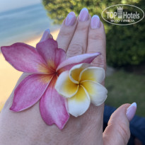 фото из отзыва ID 2644481