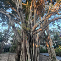 фото из отзыва ID 2644481