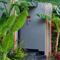 фото из отзыва ID 2644715