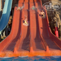 фото из отзыва ID 2644127