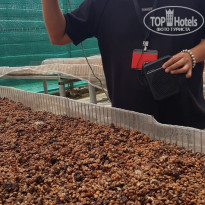 фото из отзыва ID 2644861