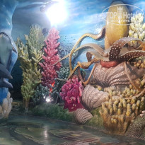 фото из отзыва ID 2644861