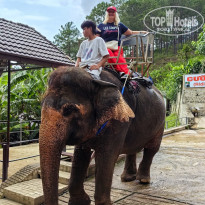 фото из отзыва ID 2644861