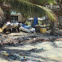 фото из отзыва ID 2644861