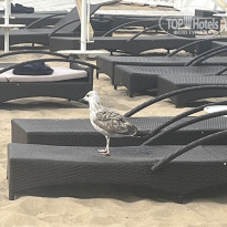 фото из отзыва ID 2644952