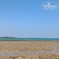 фото из отзыва ID 2644973