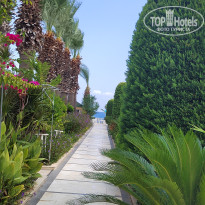 фото из отзыва ID 2644977