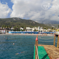 фото из отзыва ID 2644977