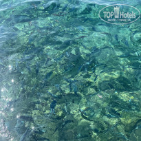 фото из отзыва ID 2644985