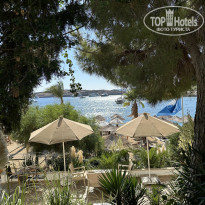 фото из отзыва ID 2644985