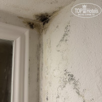 фото из отзыва ID 2644985