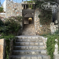 фото из отзыва ID 2644985