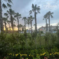 фото из отзыва ID 2644987