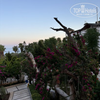 фото из отзыва ID 2645007